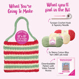 Showing the finished Tunisian crocheted bag and what comes in the kit with yarn, hooks, needle, and downloadable pattern 