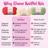 Why choose KnitPal yarn kits with a comparison chart highlighting features of Knitpal versus other brands.