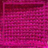 Woolen Delights Cerise Pink
